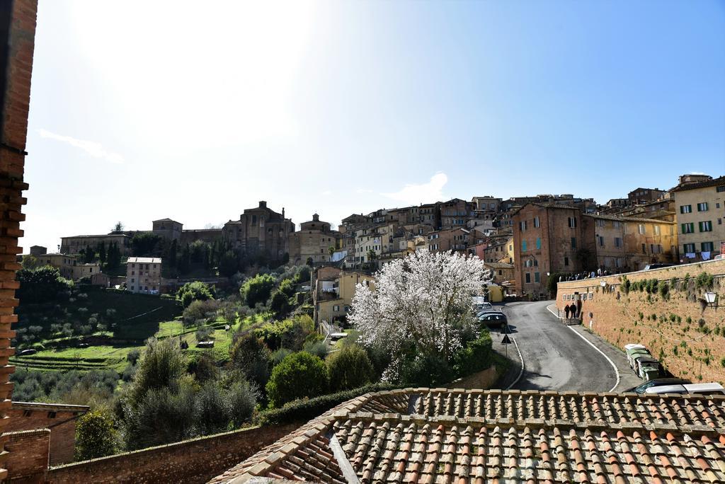 Appartamento Casa in Contrada Siena Esterno foto